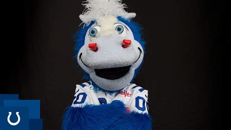 Mascot of the indianapolis colts donning the color blue